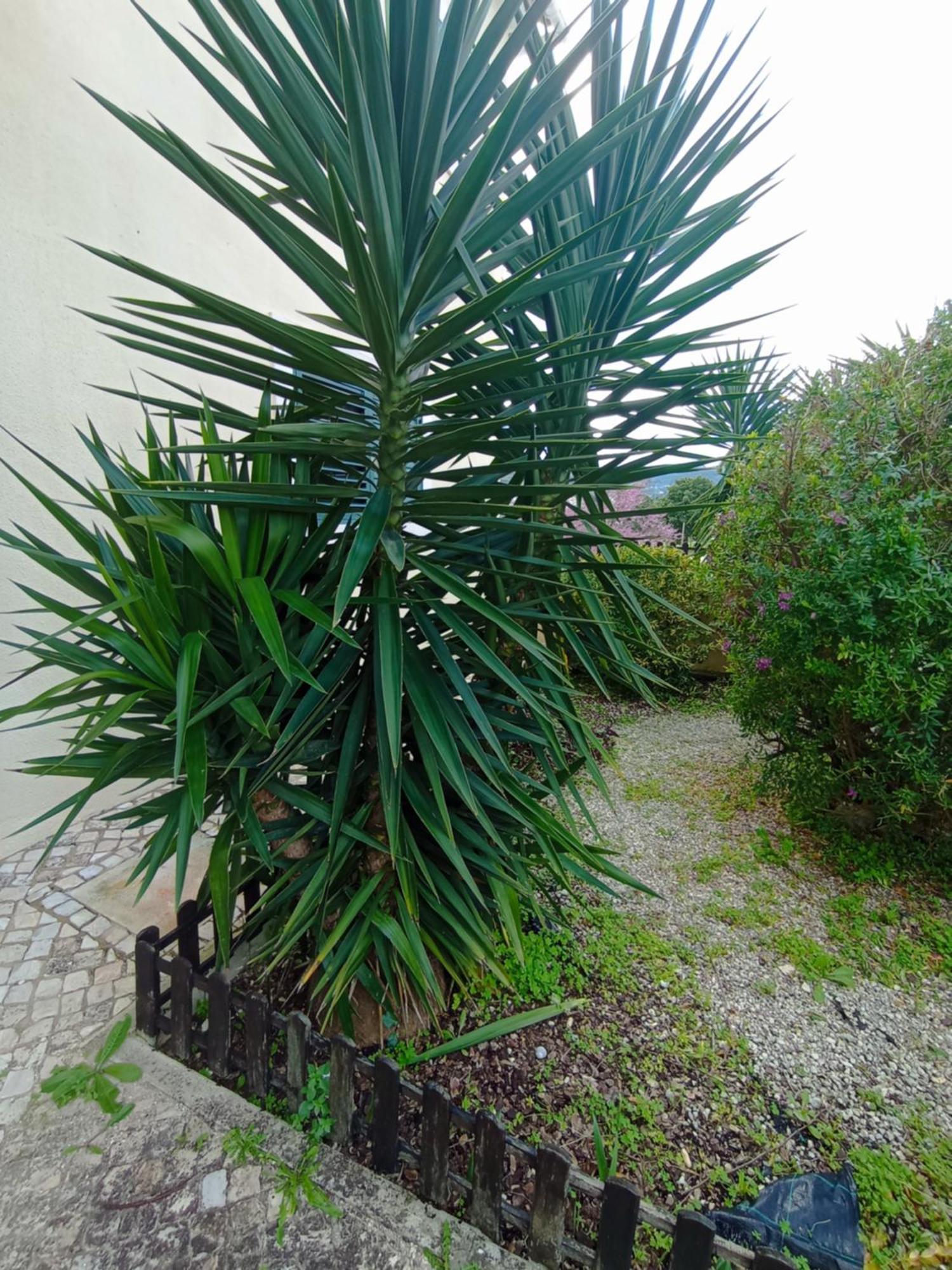 Sossego E Tranquilidade-Valley Guest House-Perto De Lisboa-Estacionamento A Porta Do Alojamento Arruda dos Vinhos Dış mekan fotoğraf